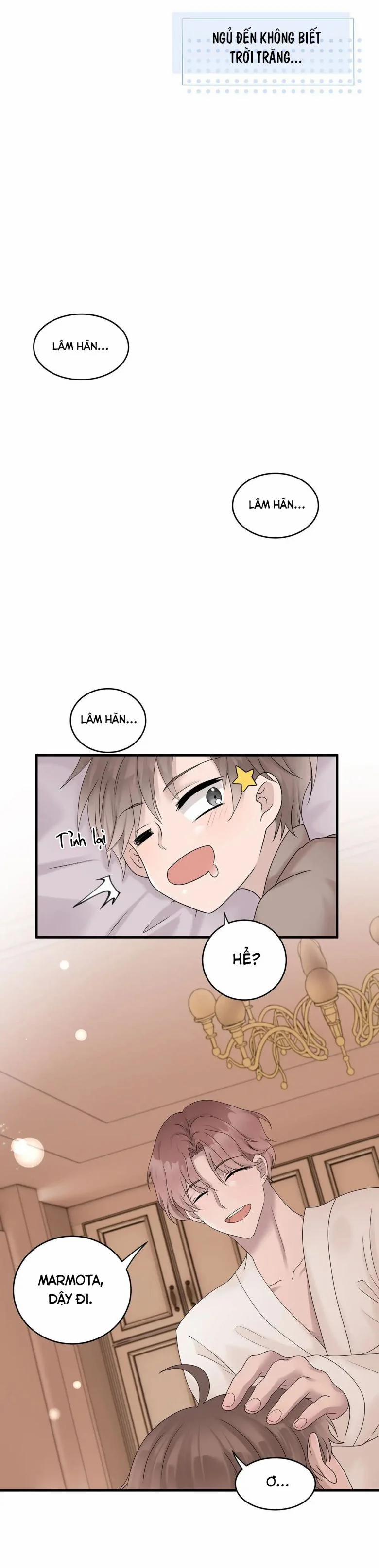 Hàng Không Bán 46 trang 8