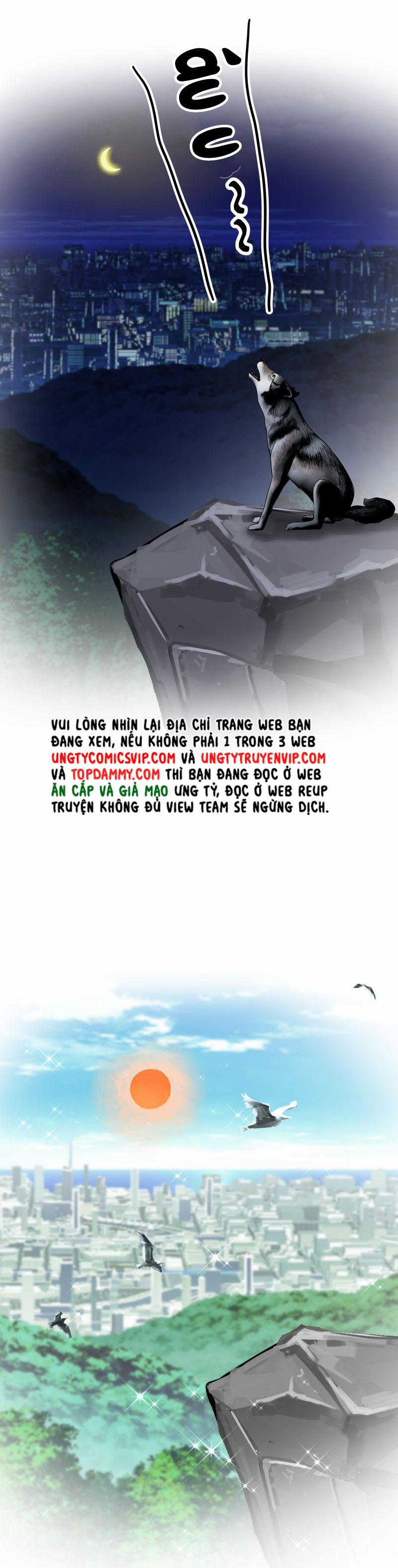 Hàng Không Bán 8 trang 3