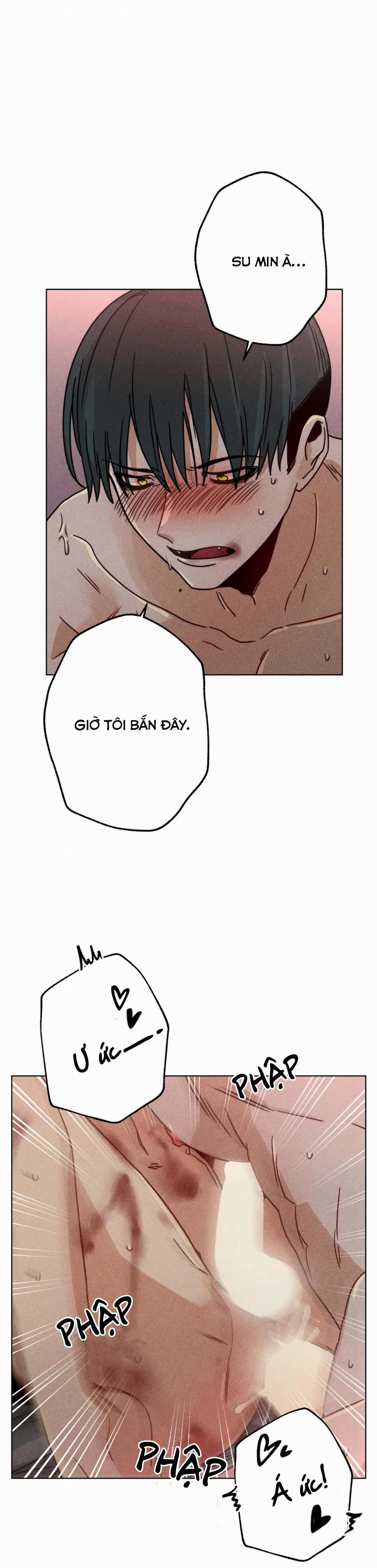 Hàng Xóm Tôi Là Ma Cà Rồng 4 trang 11