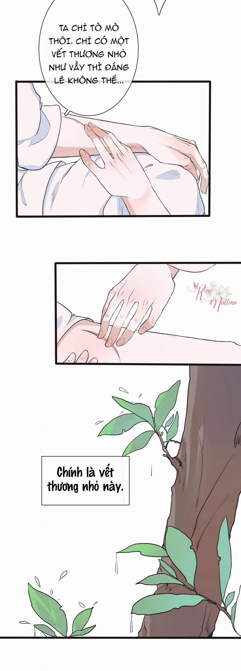 Hạnh Lâm Phương Hoa 10 trang 28