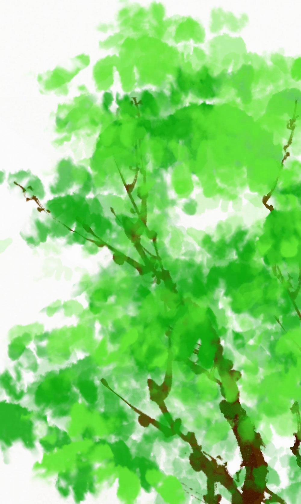 Hạnh Lâm Phương Hoa 4 trang 17