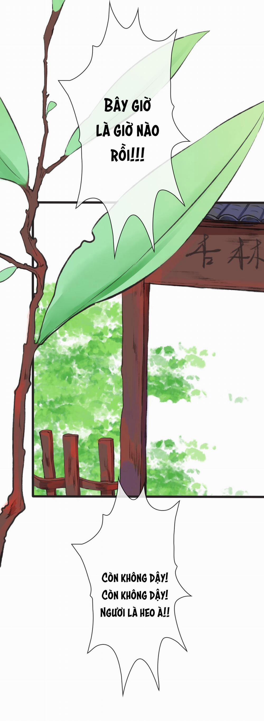 Hạnh Lâm Phương Hoa 6 trang 11