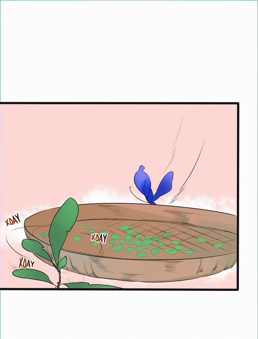 Hạnh Lâm Phương Hoa 8 trang 27