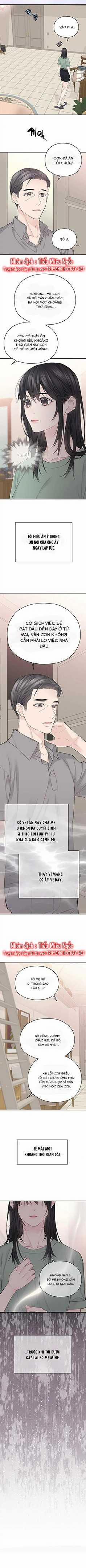 Hạnh Phúc Đó Không Hề Tồn Tại 15 trang 3