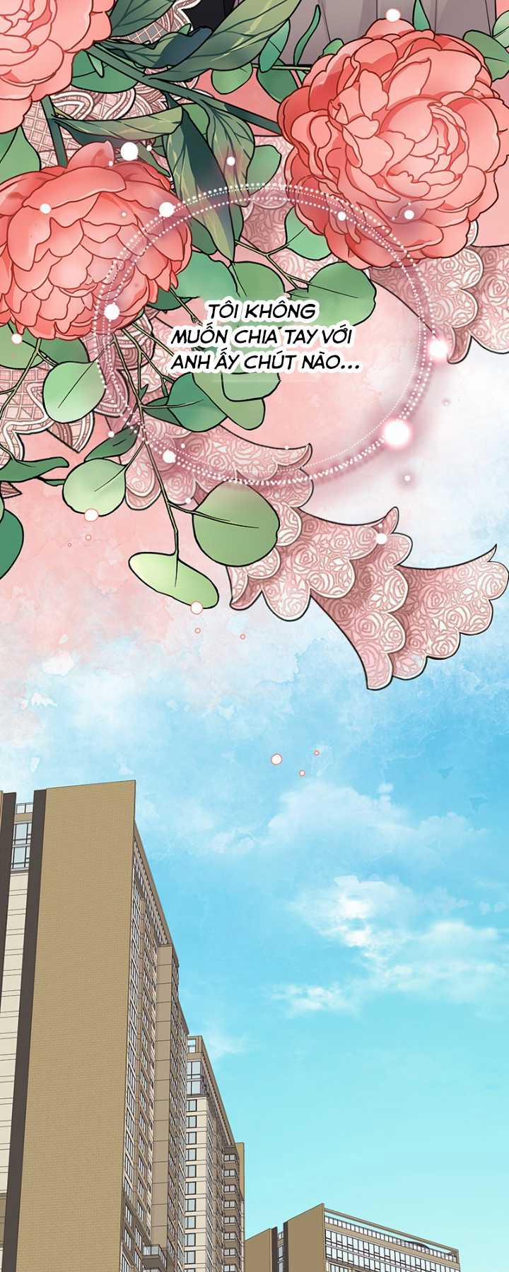 Hạnh Phúc Đó Không Hề Tồn Tại 19 trang 20