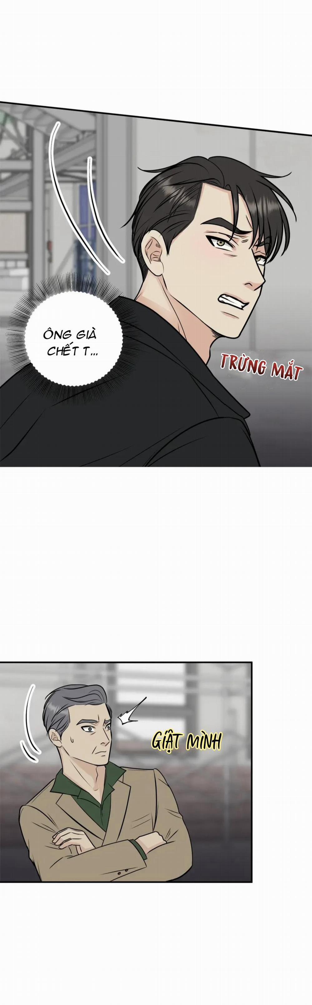 Hạnh Phúc Trọn Vẹn 13 trang 1