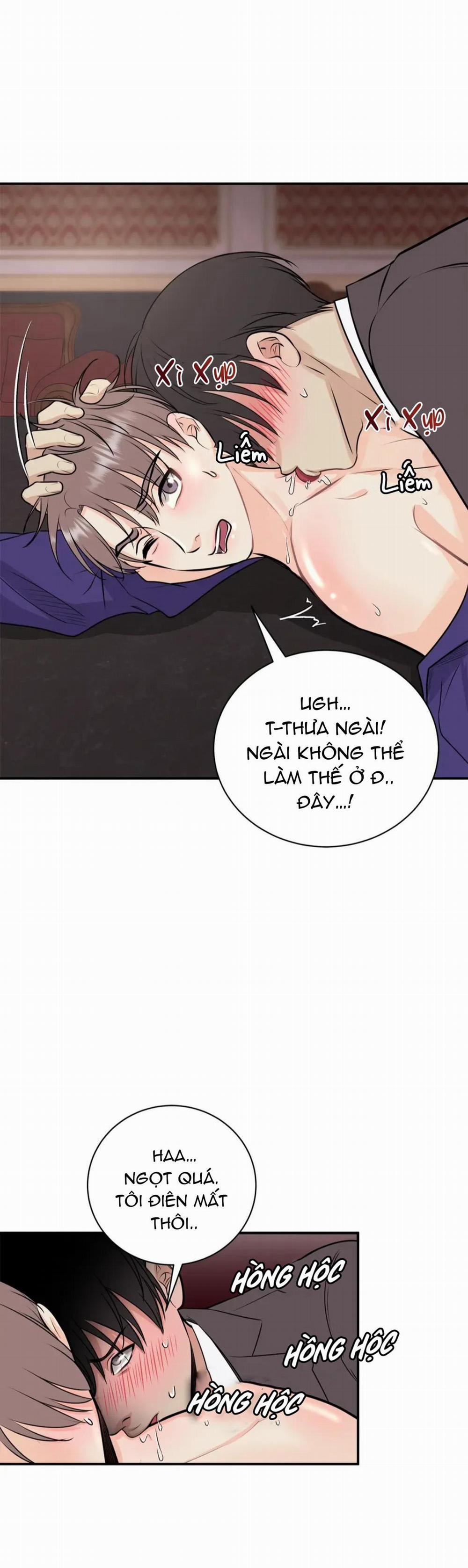 Hạnh Phúc Trọn Vẹn 13 trang 29