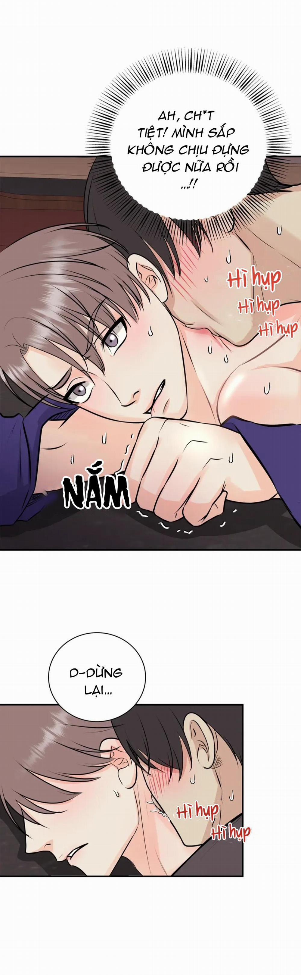 Hạnh Phúc Trọn Vẹn 13 trang 31