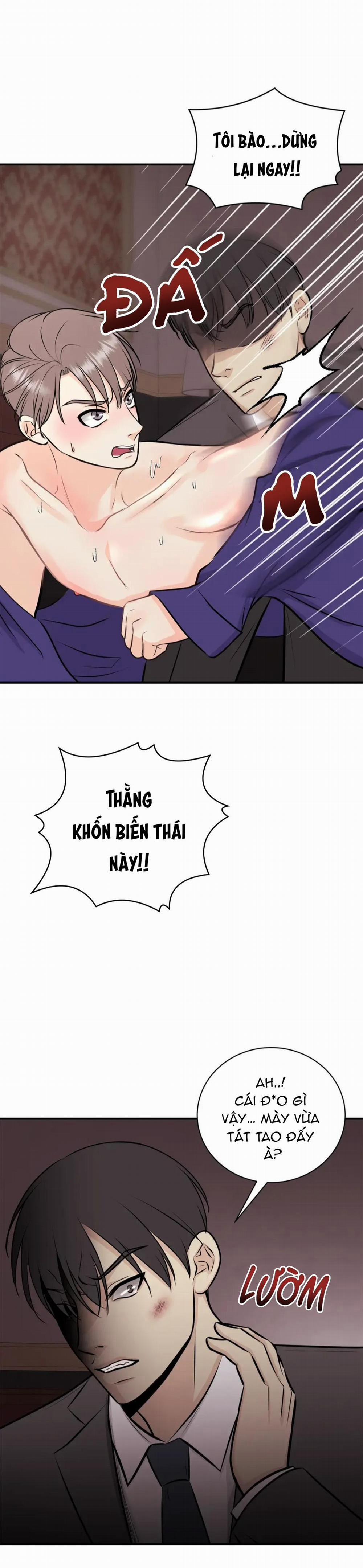 Hạnh Phúc Trọn Vẹn 14 trang 3