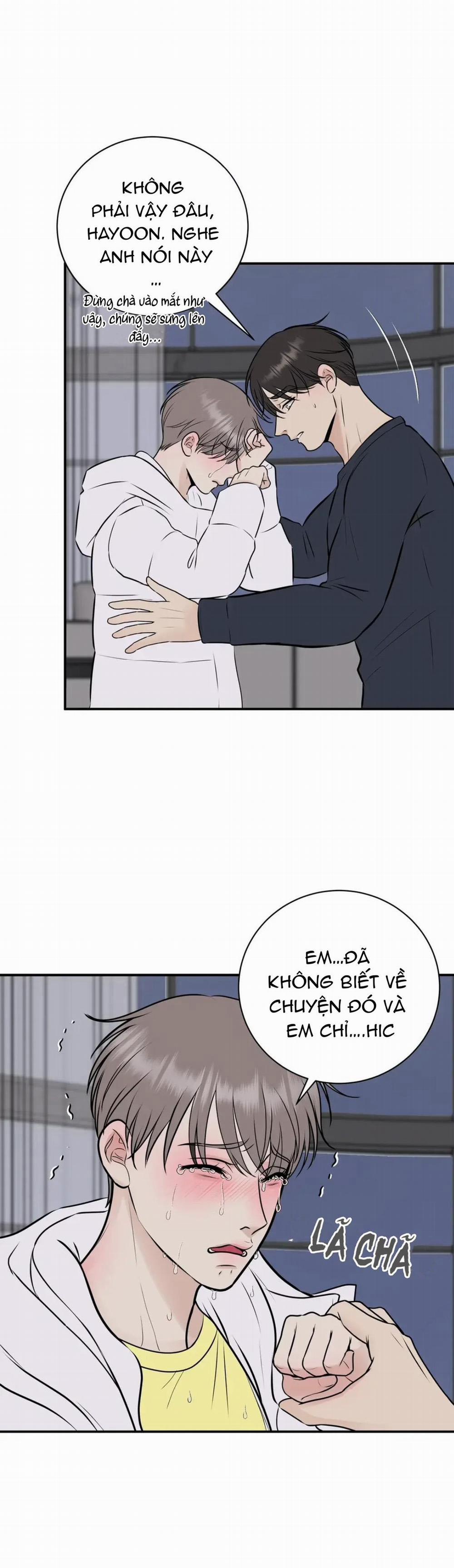 Hạnh Phúc Trọn Vẹn 15 trang 10