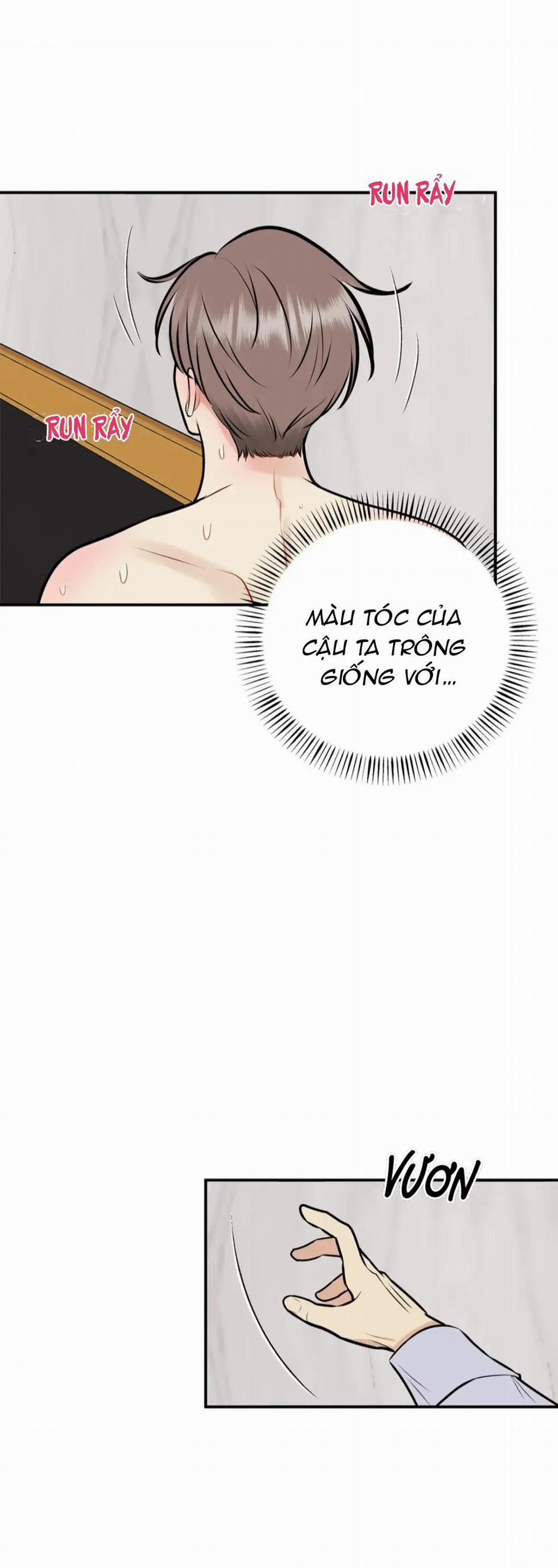 Hạnh Phúc Trọn Vẹn 16 trang 5