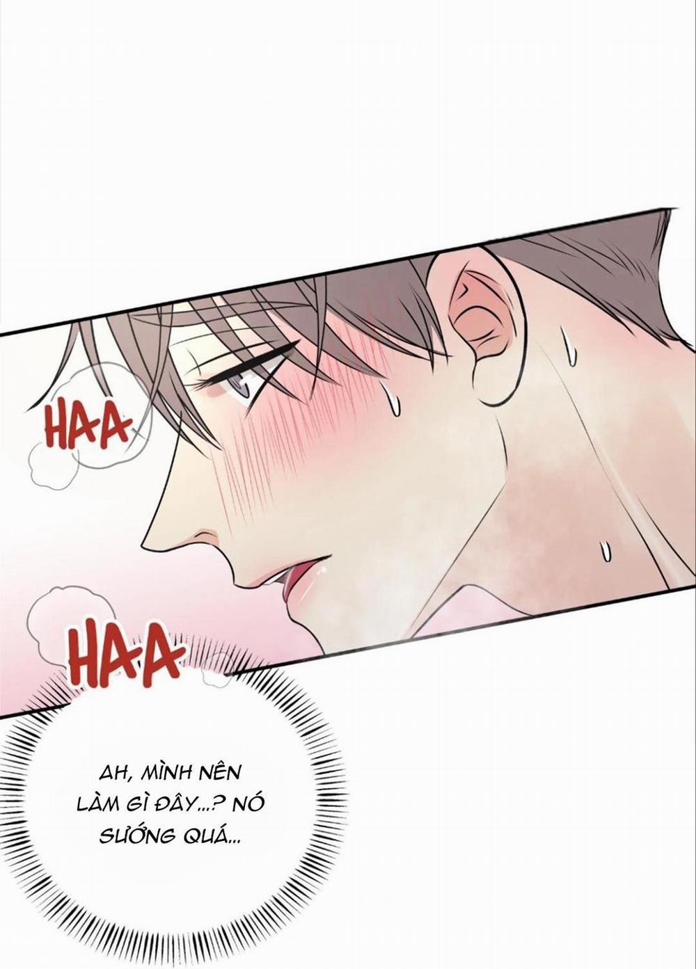 Hạnh Phúc Trọn Vẹn 19 trang 67