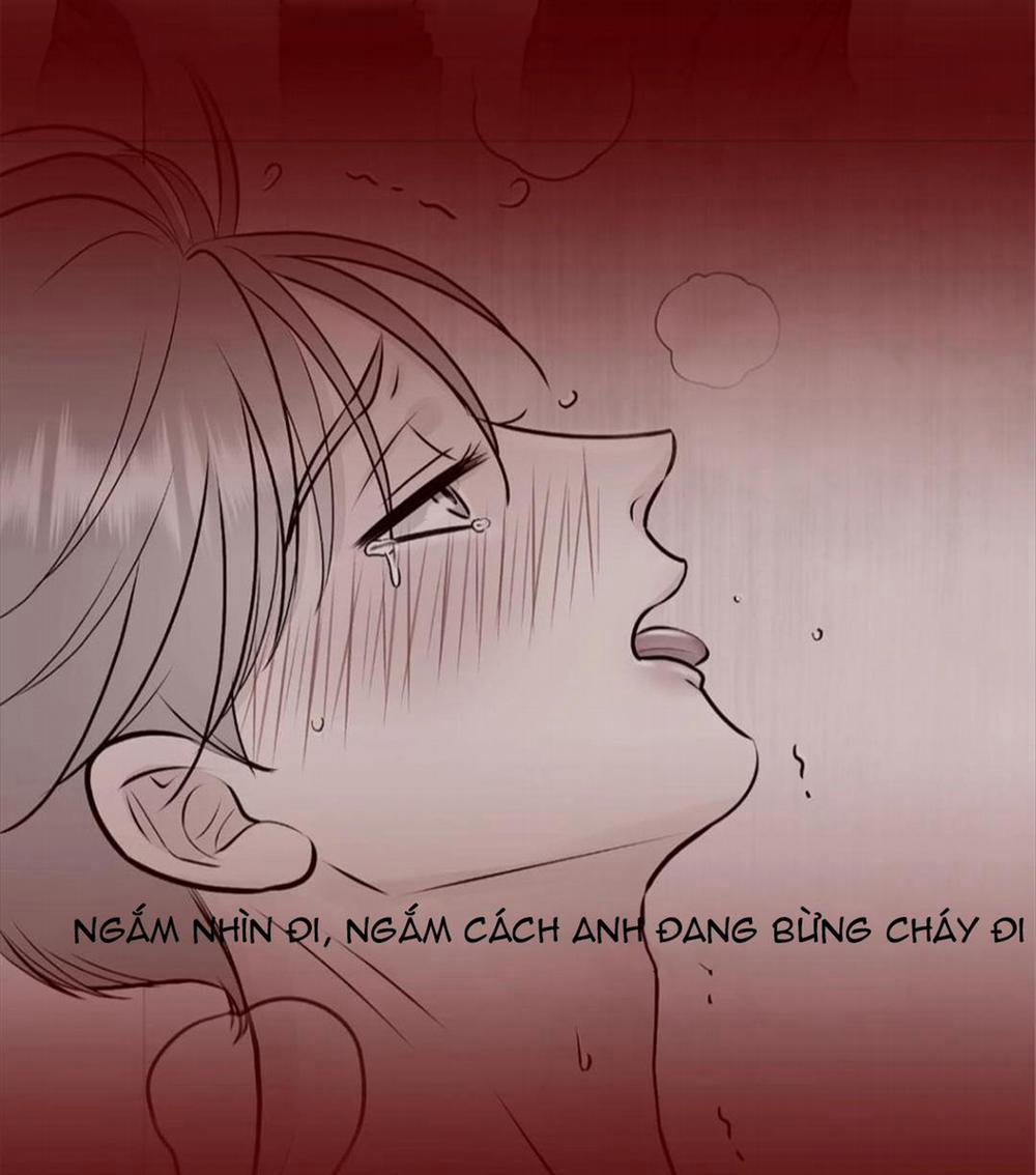 Hạnh Phúc Trọn Vẹn 20 trang 161