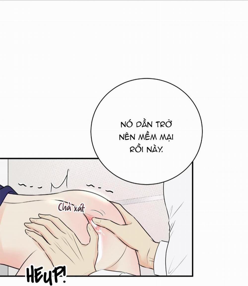 Hạnh Phúc Trọn Vẹn 21 trang 64