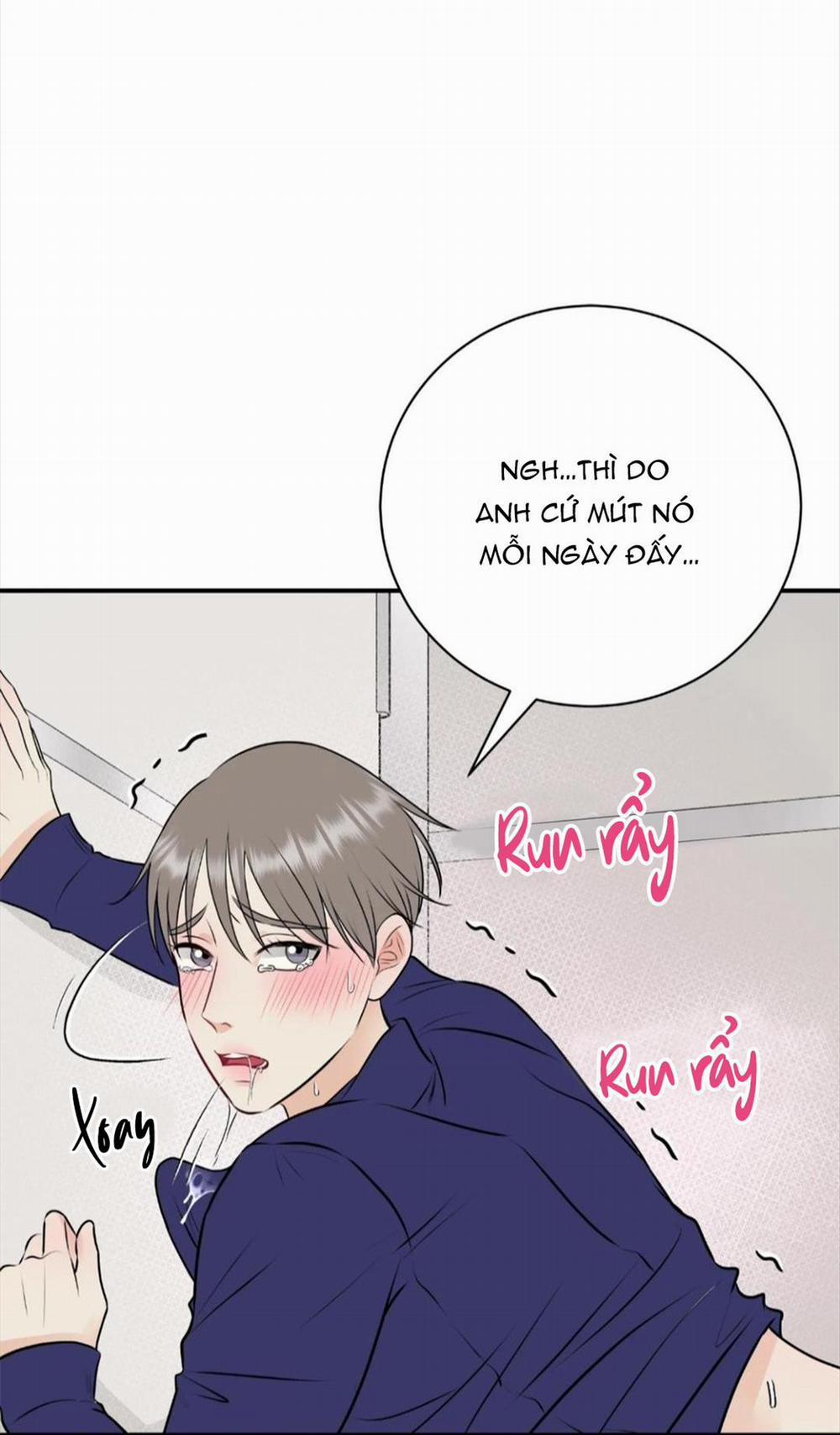 Hạnh Phúc Trọn Vẹn 21 trang 66