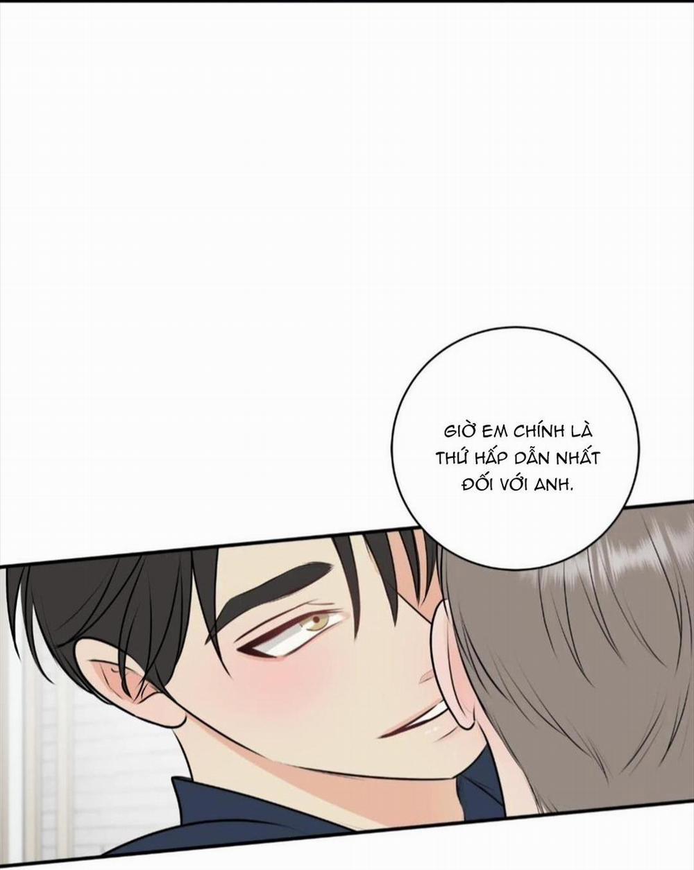 Hạnh Phúc Trọn Vẹn 22 trang 32