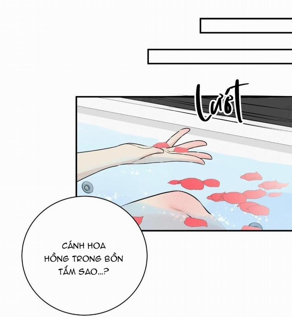 Hạnh Phúc Trọn Vẹn 22 trang 39