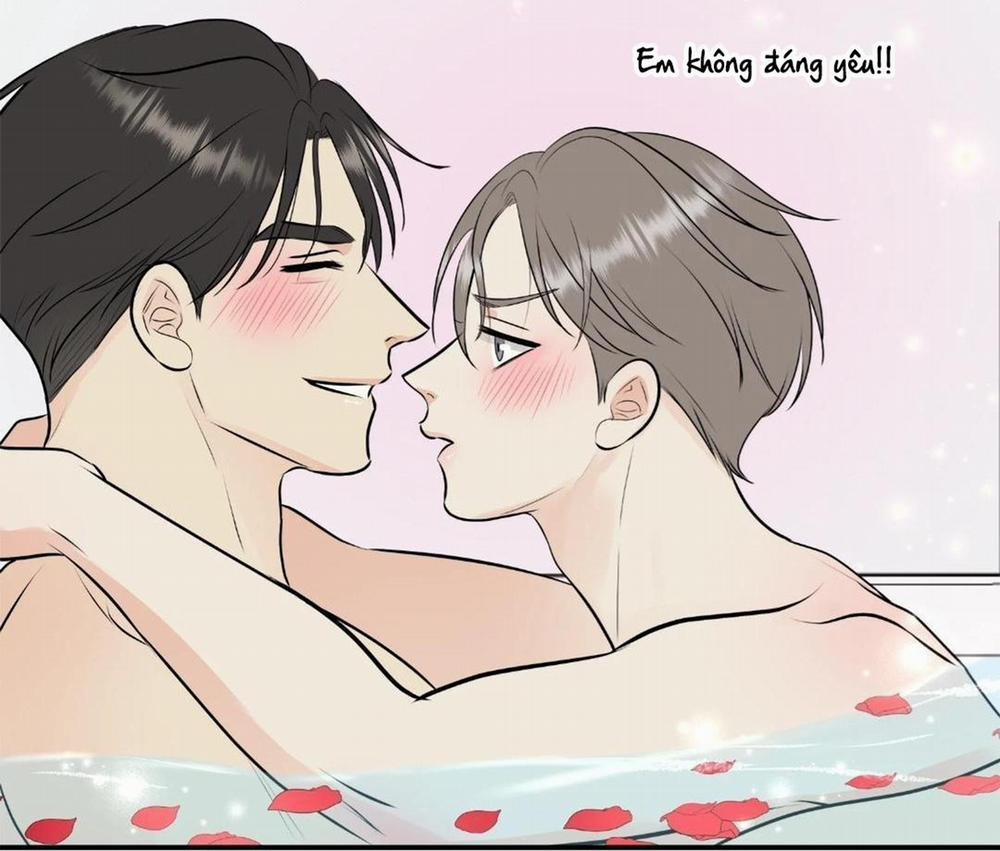 Hạnh Phúc Trọn Vẹn 22 trang 50