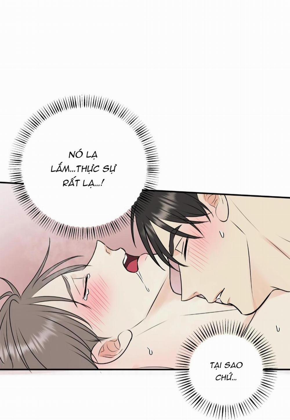 Hạnh Phúc Trọn Vẹn 23 trang 14