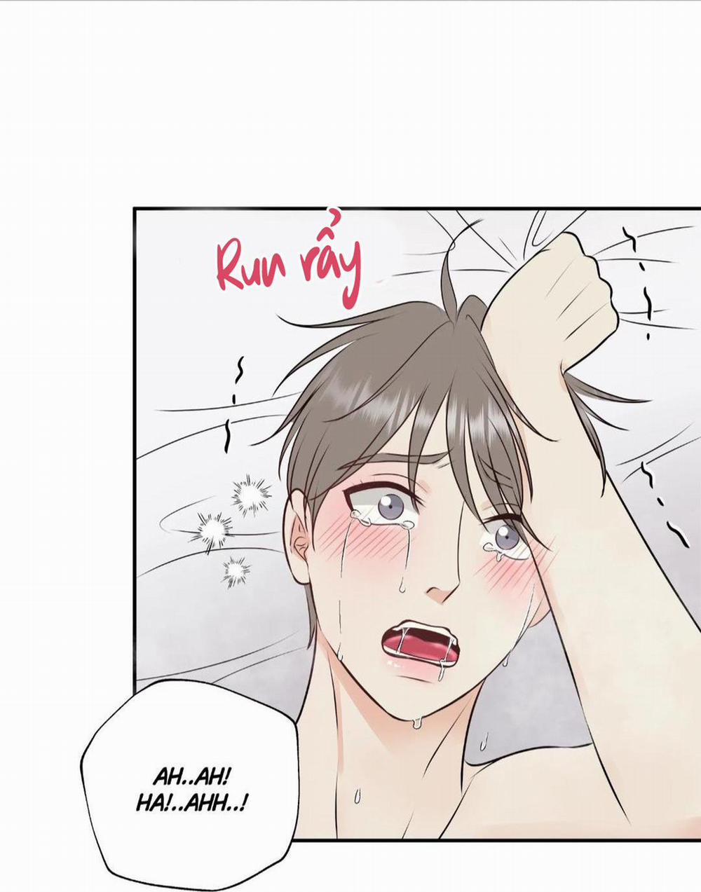 Hạnh Phúc Trọn Vẹn 23 trang 24