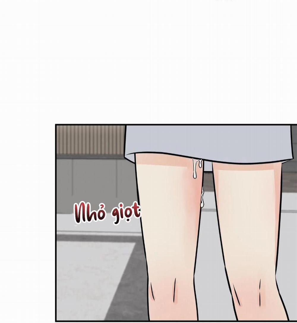 Hạnh Phúc Trọn Vẹn 23 trang 80