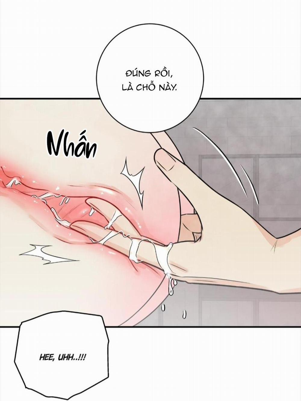 Hạnh Phúc Trọn Vẹn 24 trang 42