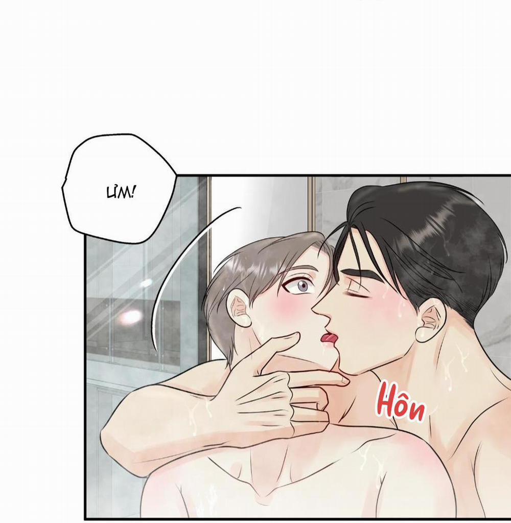 Hạnh Phúc Trọn Vẹn 24 trang 5