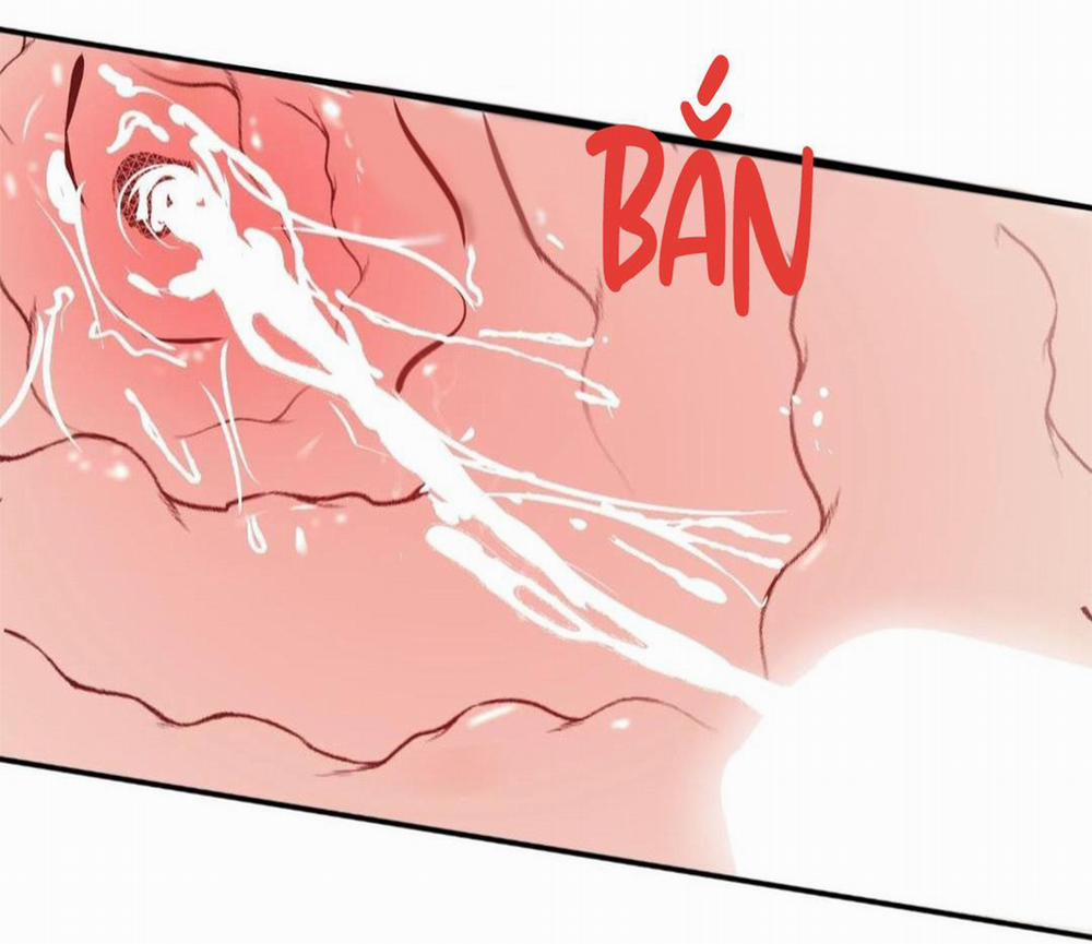 Hạnh Phúc Trọn Vẹn 24 trang 62