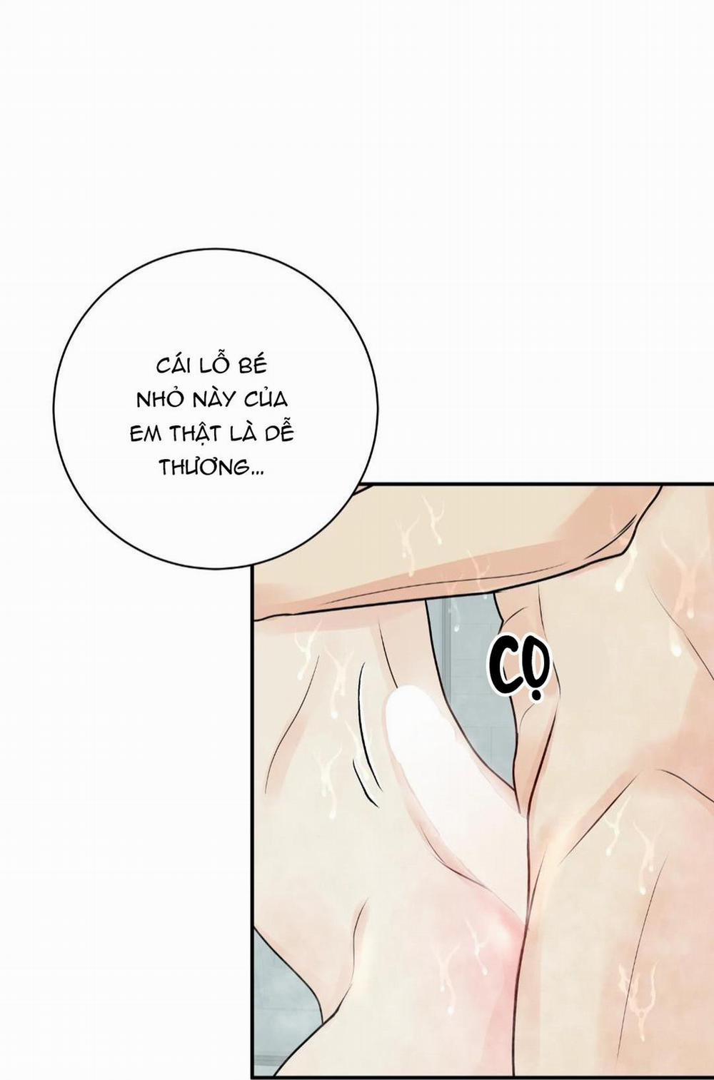 Hạnh Phúc Trọn Vẹn 24 trang 9