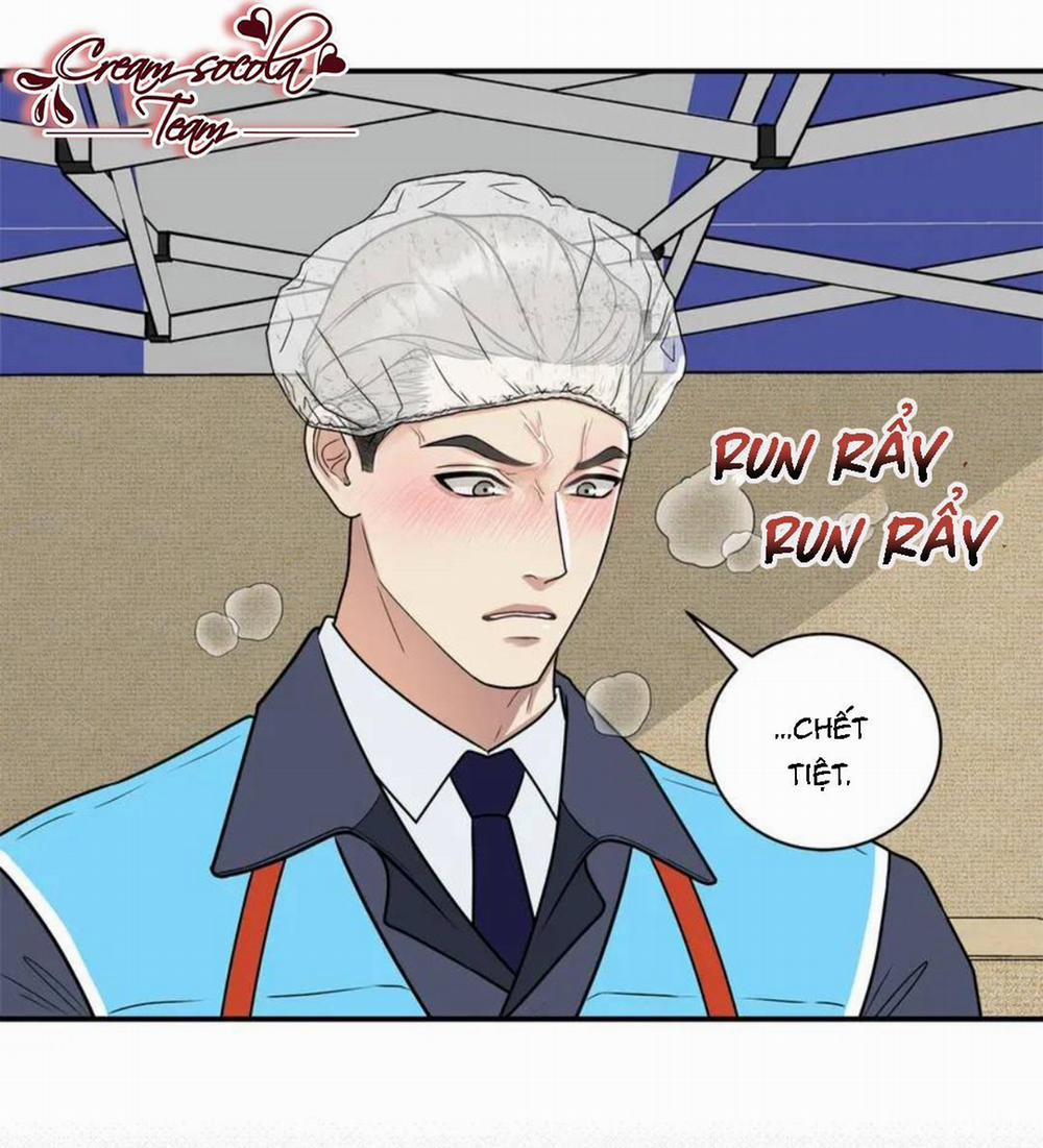 Hạnh Phúc Trọn Vẹn 33 trang 1