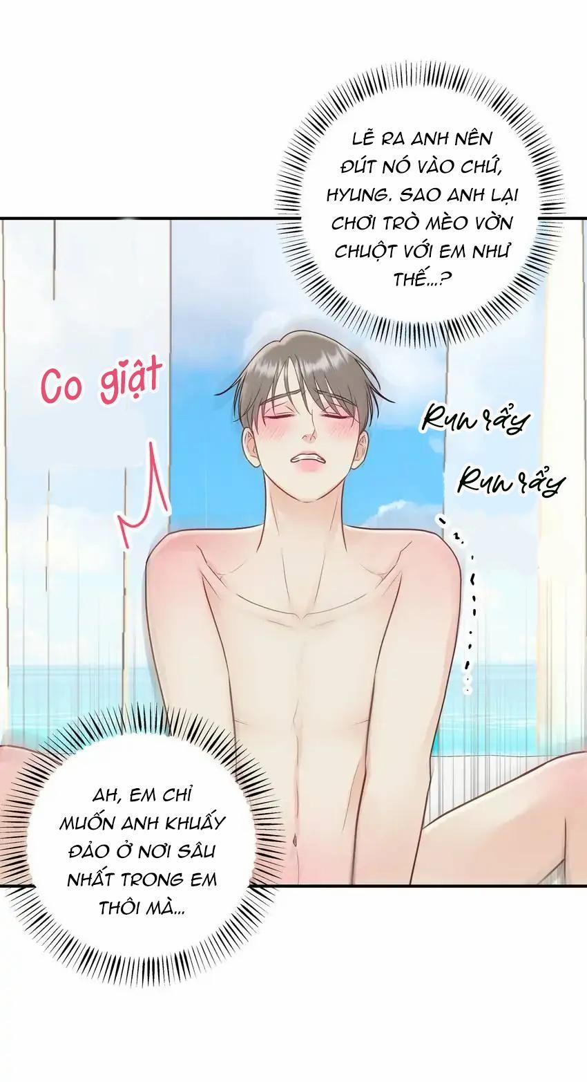 Hạnh Phúc Trọn Vẹn 37 trang 21