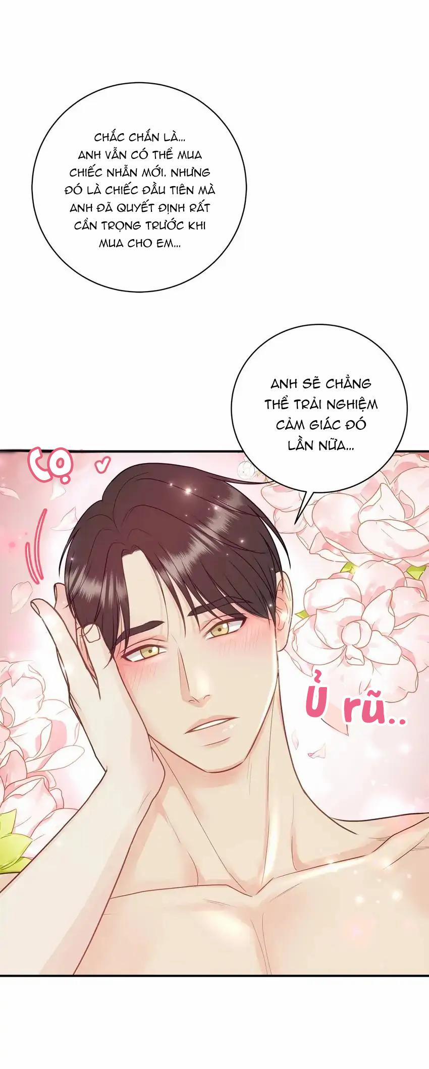 Hạnh Phúc Trọn Vẹn 39 trang 12