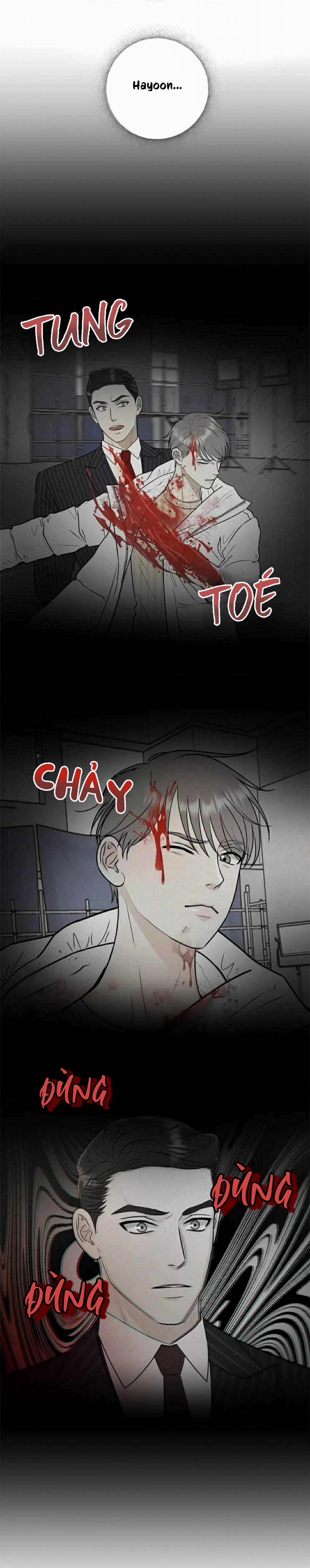 Hạnh Phúc Trọn Vẹn 49 trang 13