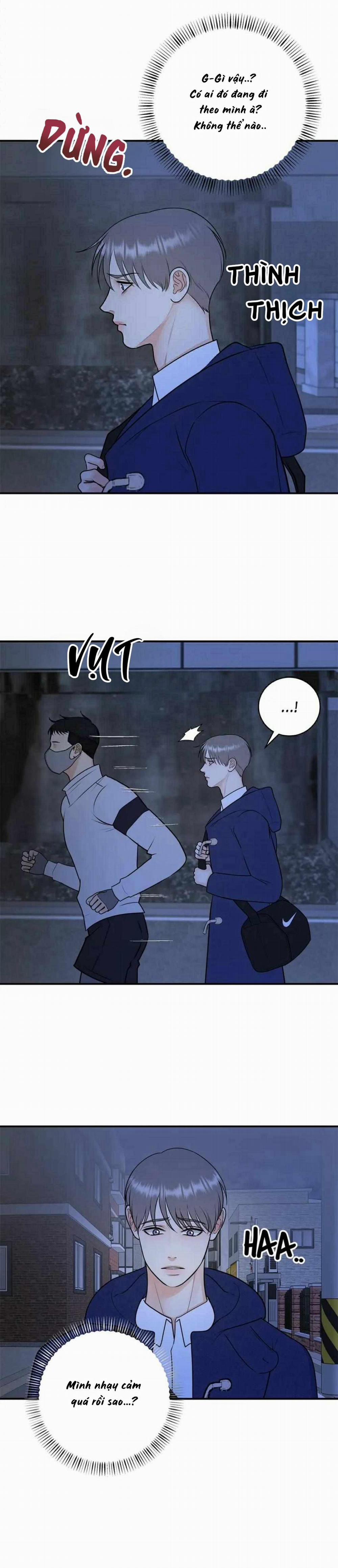 Hạnh Phúc Trọn Vẹn 49 trang 17