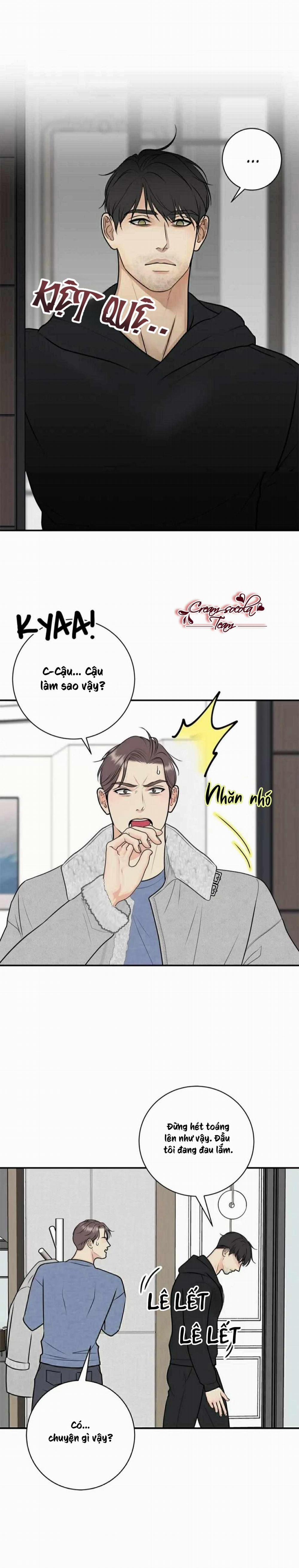 Hạnh Phúc Trọn Vẹn 49 trang 2