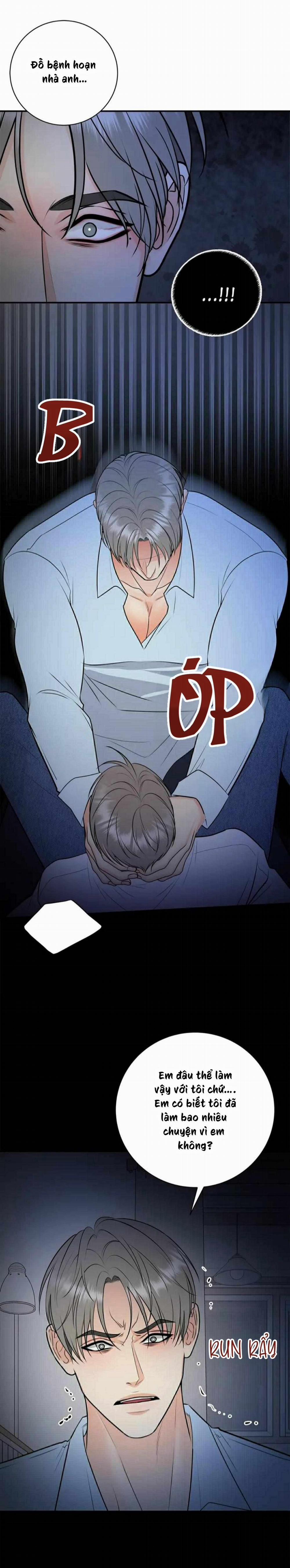 Hạnh Phúc Trọn Vẹn 50 trang 13