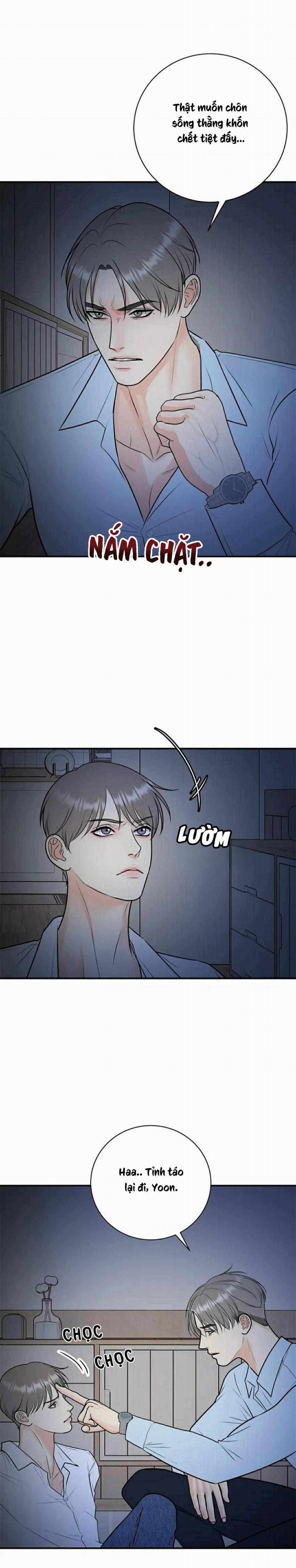 Hạnh Phúc Trọn Vẹn 50 trang 3