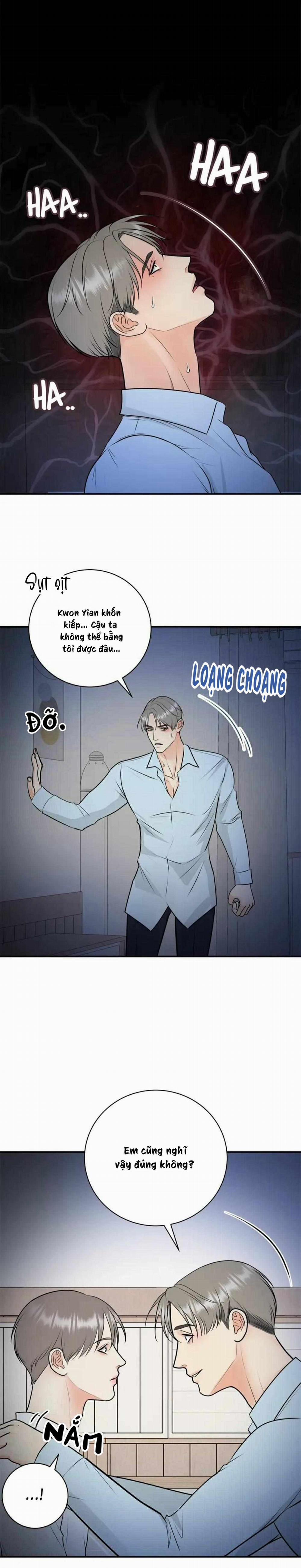 Hạnh Phúc Trọn Vẹn 50 trang 9