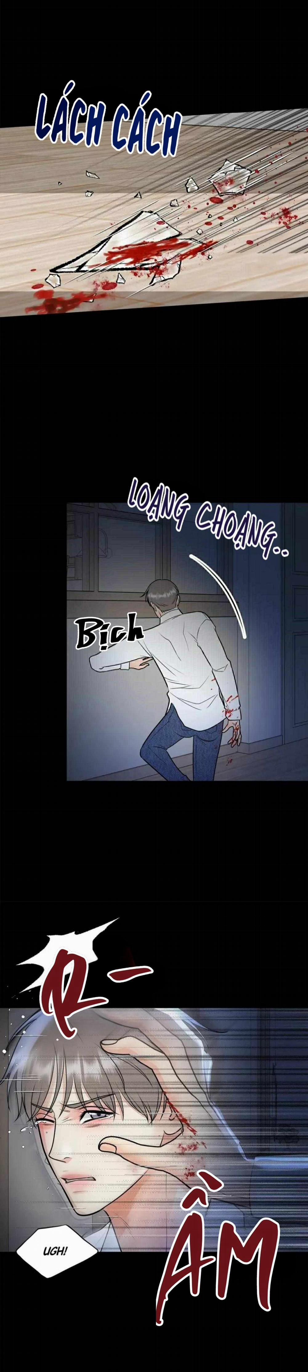 Hạnh Phúc Trọn Vẹn 51 trang 17