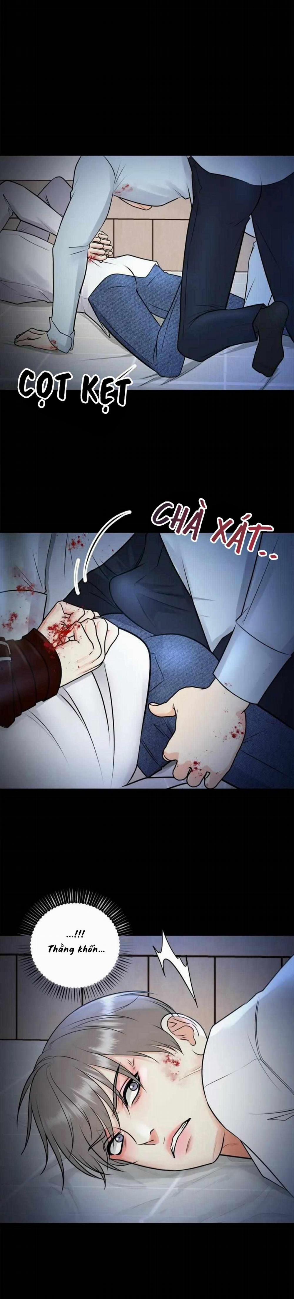 Hạnh Phúc Trọn Vẹn 51 trang 20