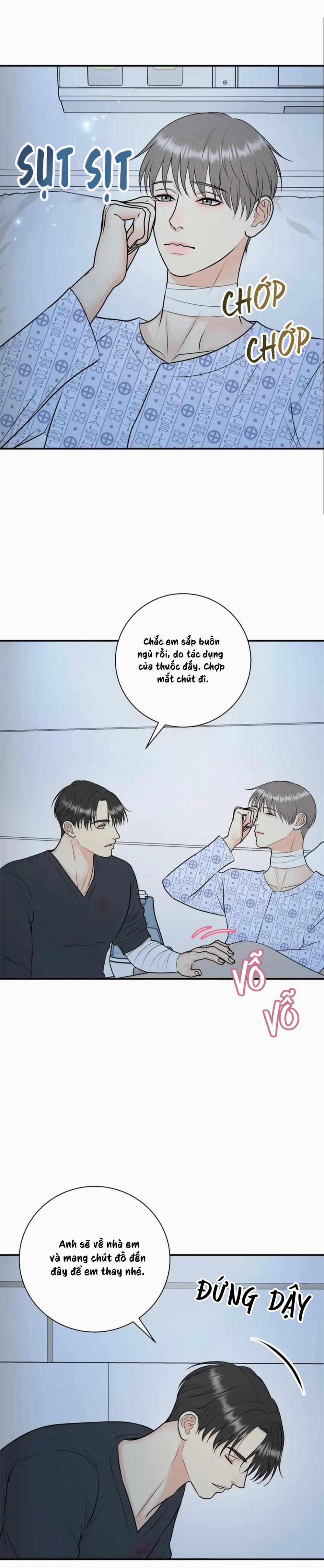 Hạnh Phúc Trọn Vẹn 52 trang 12