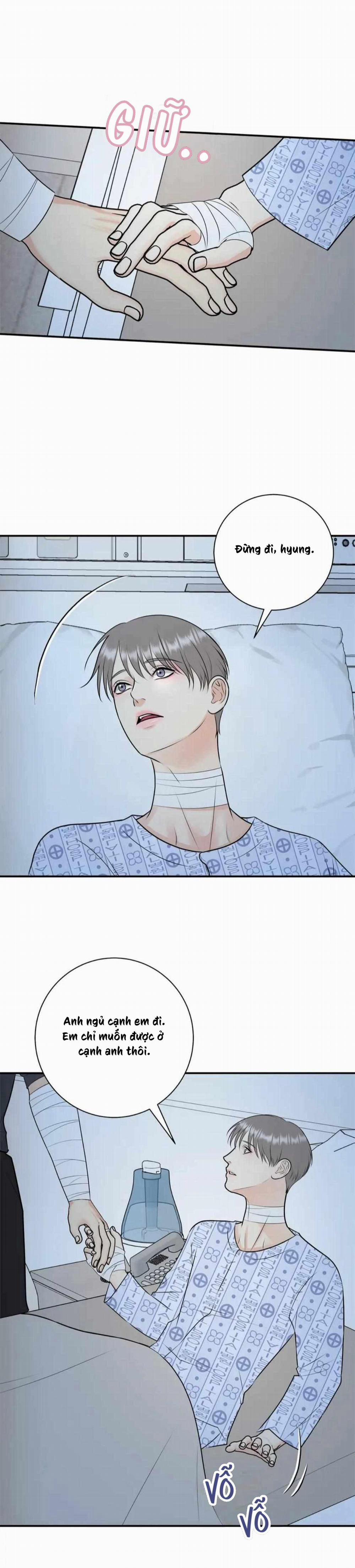 Hạnh Phúc Trọn Vẹn 52 trang 13