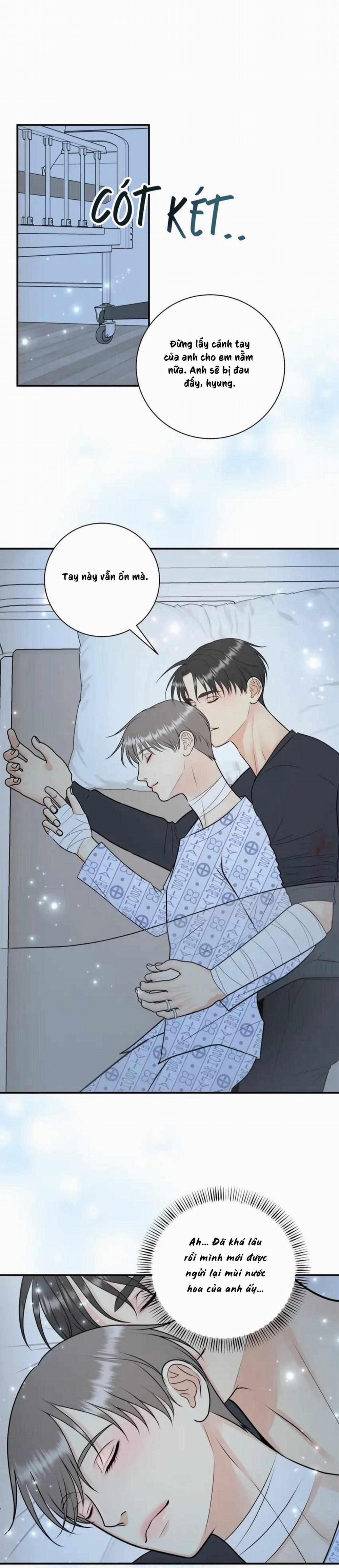 Hạnh Phúc Trọn Vẹn 52 trang 14