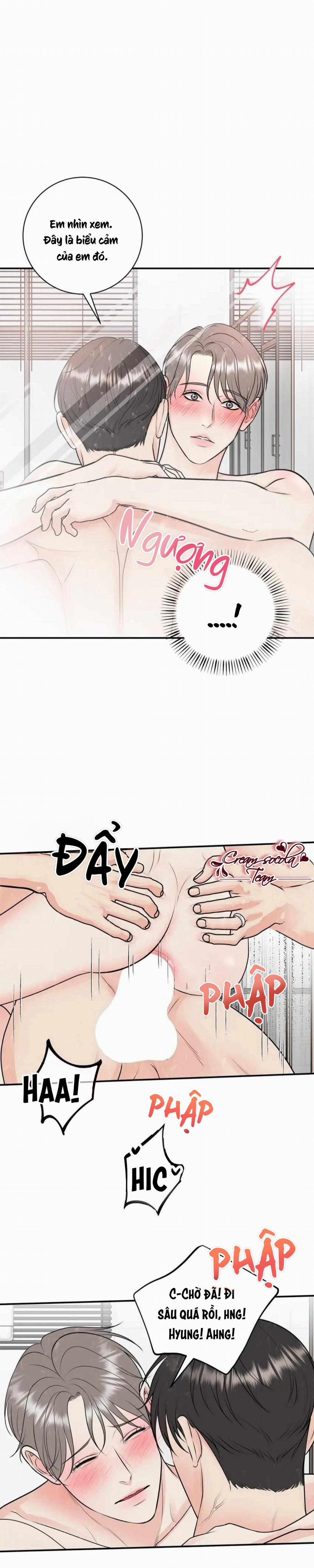 Hạnh Phúc Trọn Vẹn 54 trang 0