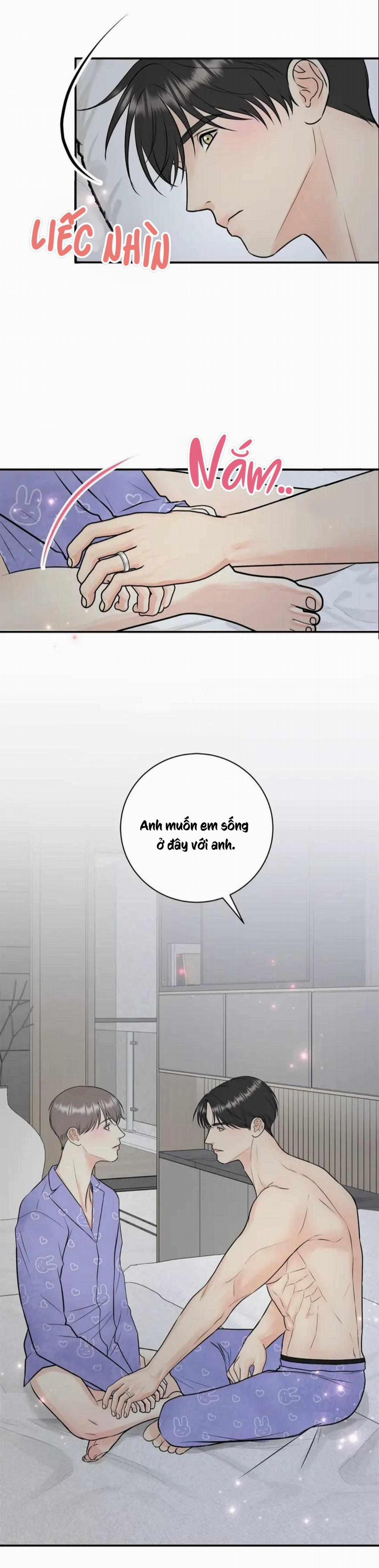 Hạnh Phúc Trọn Vẹn 54 trang 21