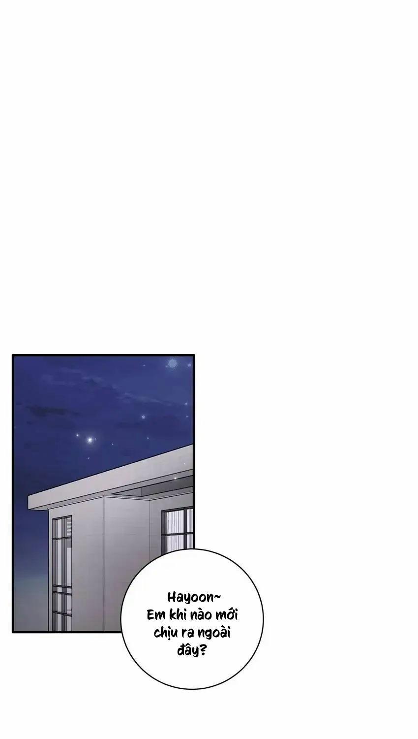 Hạnh Phúc Trọn Vẹn 58 trang 0