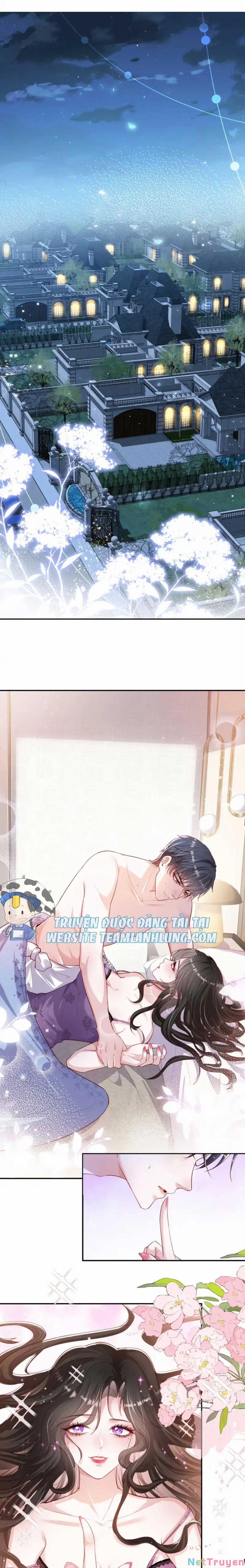 Hành Trình Theo Đuổi Vợ Yêu Của Tổng Tài 2 trang 1