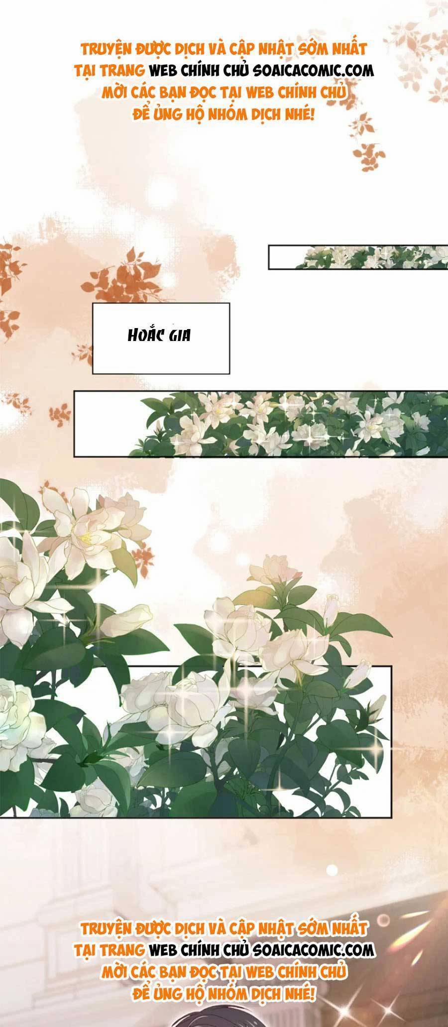 Hành Trình Truy Thê Mệt Xỉu Của Hoắc Thiếu 33 trang 8