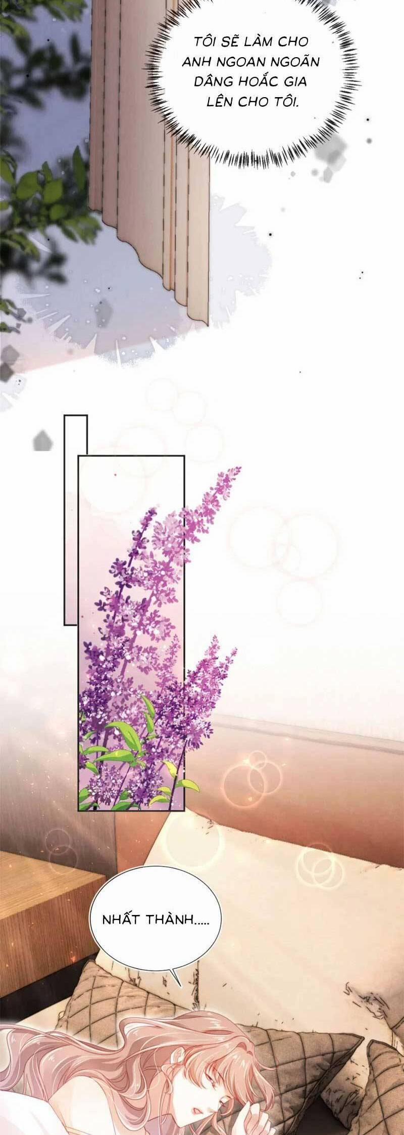 Hành Trình Truy Thê Mệt Xỉu Của Hoắc Thiếu 45 trang 12