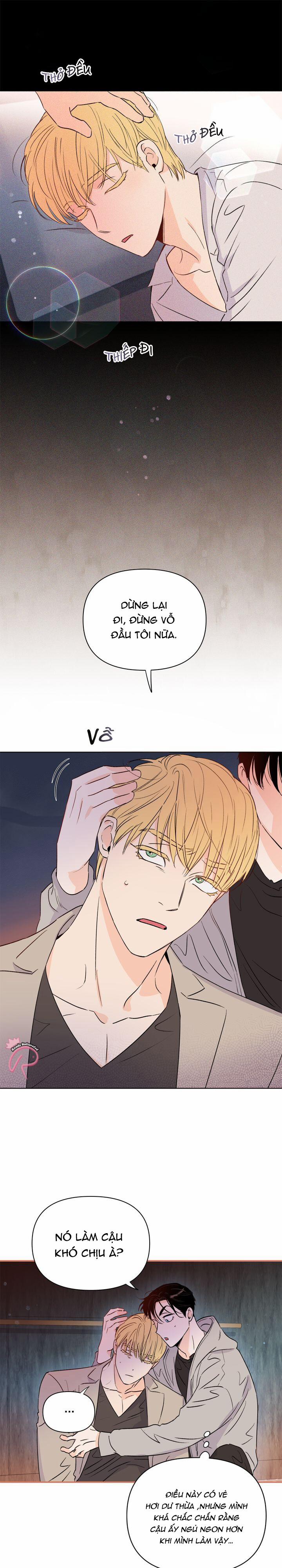 Hào Quang Tối 13 trang 5